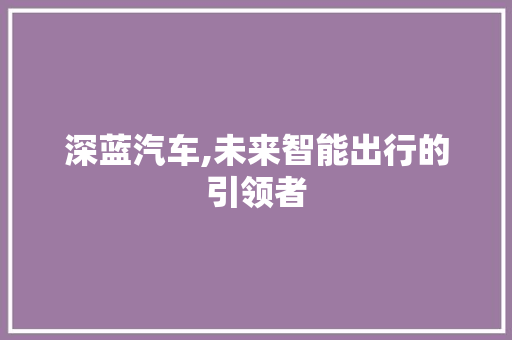 深蓝汽车,未来智能出行的引领者