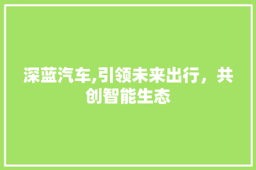 深蓝汽车,引领未来出行，共创智能生态