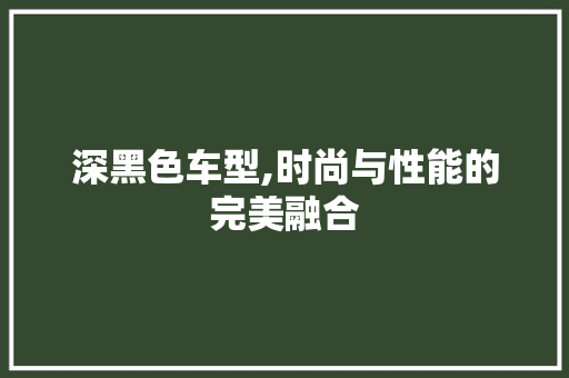 深黑色车型,时尚与性能的完美融合