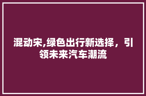 混动宋,绿色出行新选择，引领未来汽车潮流
