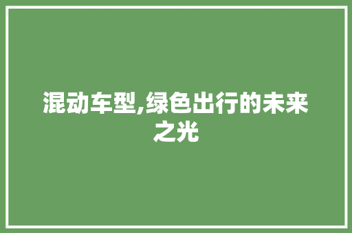 混动车型,绿色出行的未来之光