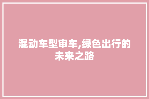 混动车型审车,绿色出行的未来之路