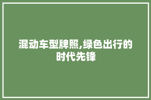 混动车型牌照,绿色出行的时代先锋
