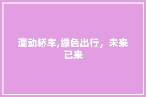 混动轿车,绿色出行，未来已来