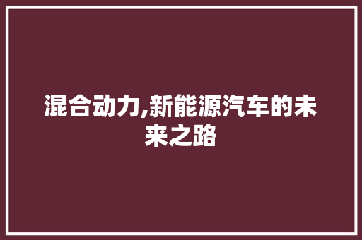 混合动力,新能源汽车的未来之路