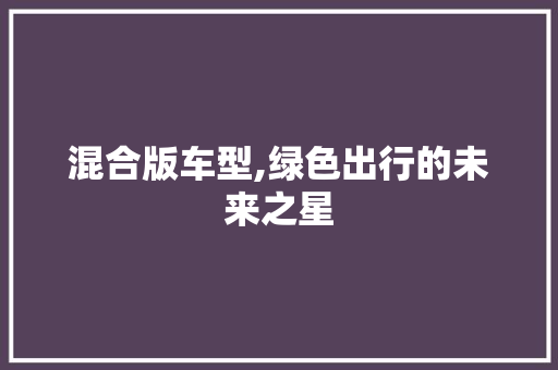 混合版车型,绿色出行的未来之星
