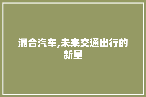 混合汽车,未来交通出行的新星