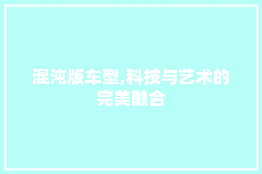 混沌版车型,科技与艺术的完美融合