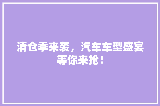 清仓季来袭，汽车车型盛宴等你来抢！
