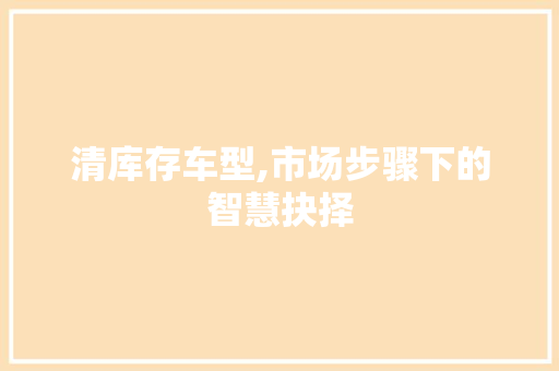 清库存车型,市场步骤下的智慧抉择