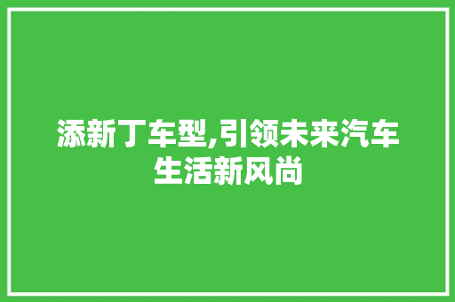 添新丁车型,引领未来汽车生活新风尚
