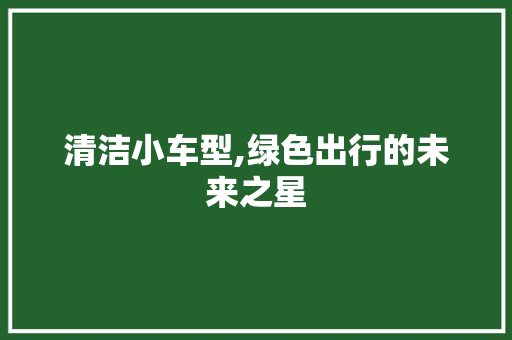 清洁小车型,绿色出行的未来之星