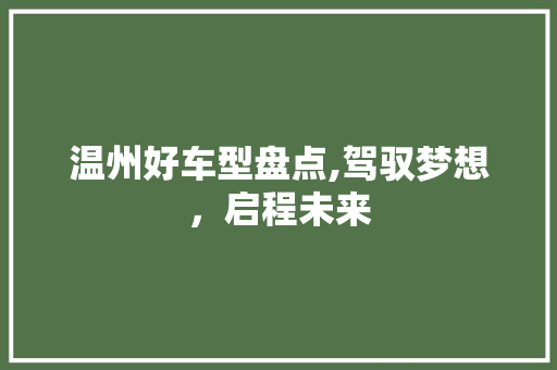 温州好车型盘点,驾驭梦想，启程未来