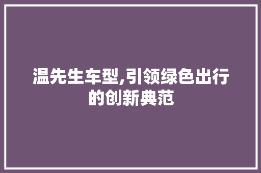 温先生车型,引领绿色出行的创新典范