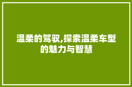 温柔的驾驭,探索温柔车型的魅力与智慧