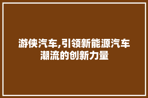 游侠汽车,引领新能源汽车潮流的创新力量