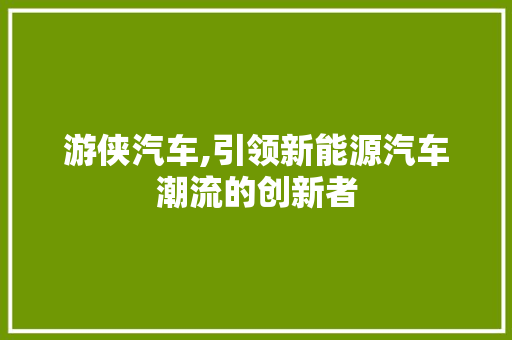游侠汽车,引领新能源汽车潮流的创新者