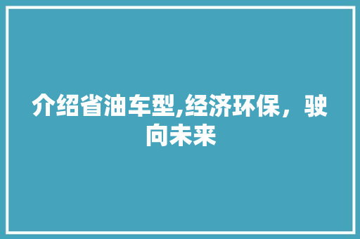 介绍省油车型,经济环保，驶向未来