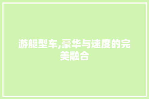 游艇型车,豪华与速度的完美融合