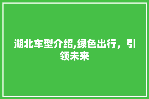 湖北车型介绍,绿色出行，引领未来