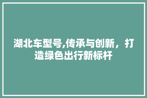 湖北车型号,传承与创新，打造绿色出行新标杆