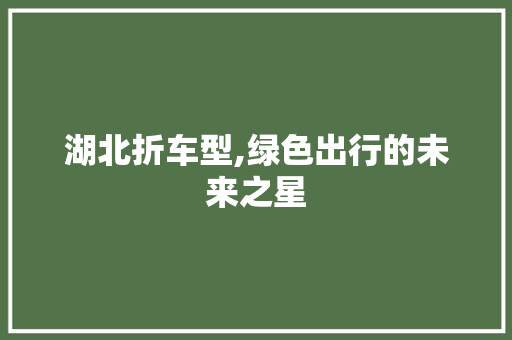湖北折车型,绿色出行的未来之星