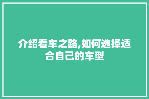介绍看车之路,如何选择适合自己的车型