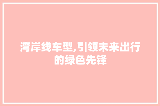 湾岸线车型,引领未来出行的绿色先锋 蓄电池配件