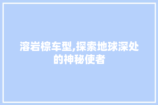 溶岩棕车型,探索地球深处的神秘使者