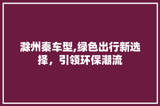 滁州秦车型,绿色出行新选择，引领环保潮流