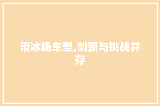 滑冰场车型,创新与挑战并存
