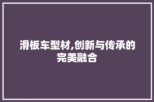 滑板车型材,创新与传承的完美融合