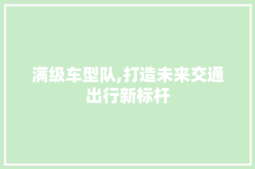 满级车型队,打造未来交通出行新标杆