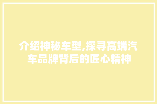 介绍神秘车型,探寻高端汽车品牌背后的匠心精神
