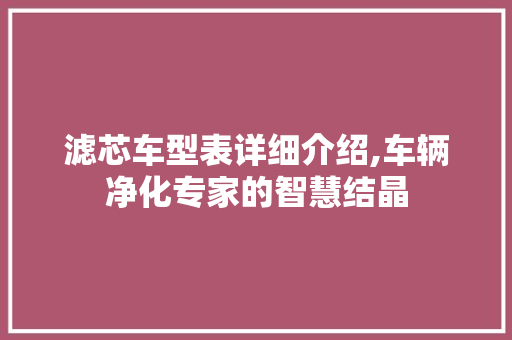 滤芯车型表详细介绍,车辆净化专家的智慧结晶