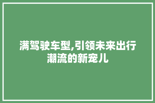 满驾驶车型,引领未来出行潮流的新宠儿