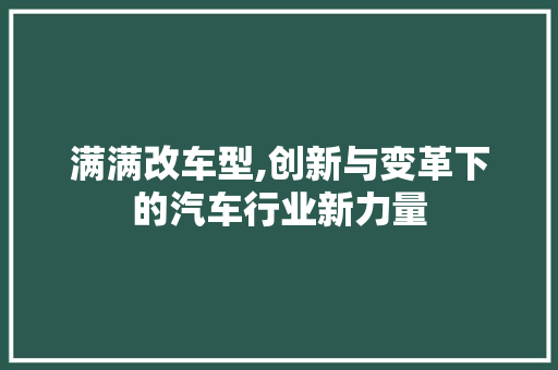 满满改车型,创新与变革下的汽车行业新力量