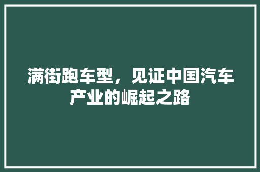 满街跑车型，见证中国汽车产业的崛起之路