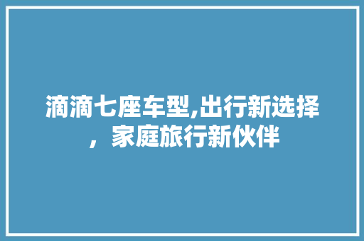 滴滴七座车型,出行新选择，家庭旅行新伙伴