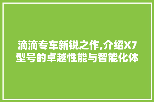 滴滴专车新锐之作,介绍X7型号的卓越性能与智能化体验