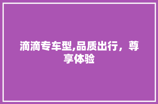 滴滴专车型,品质出行，尊享体验