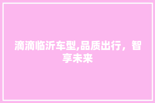 滴滴临沂车型,品质出行，智享未来