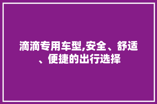 滴滴专用车型,安全、舒适、便捷的出行选择