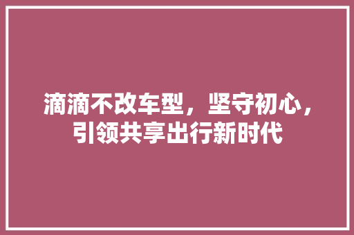 滴滴不改车型，坚守初心，引领共享出行新时代