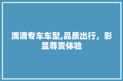滴滴专车车型,品质出行，彰显尊贵体验