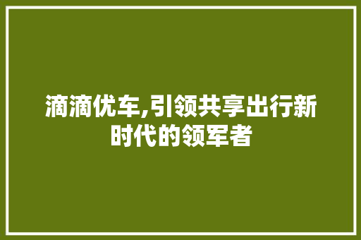 滴滴优车,引领共享出行新时代的领军者