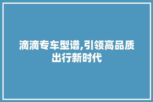 滴滴专车型谱,引领高品质出行新时代