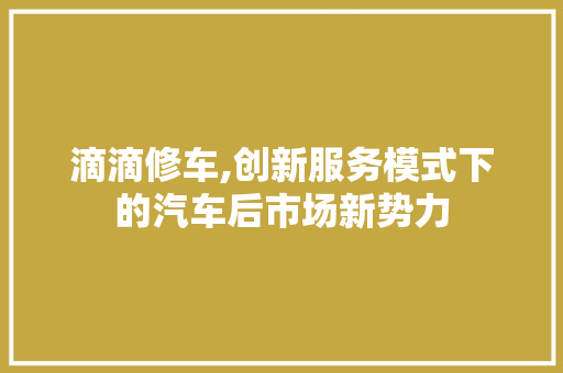 滴滴修车,创新服务模式下的汽车后市场新势力