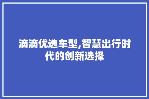 滴滴优选车型,智慧出行时代的创新选择