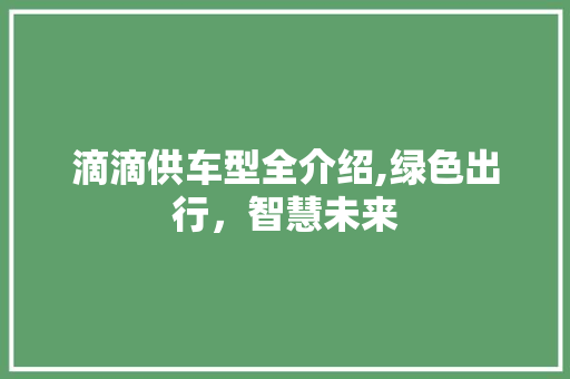 滴滴供车型全介绍,绿色出行，智慧未来
